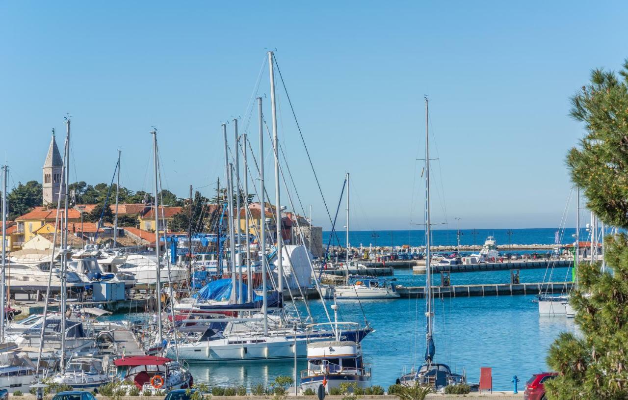 Luxury Apartments Novigrad Novigrad  Zewnętrze zdjęcie